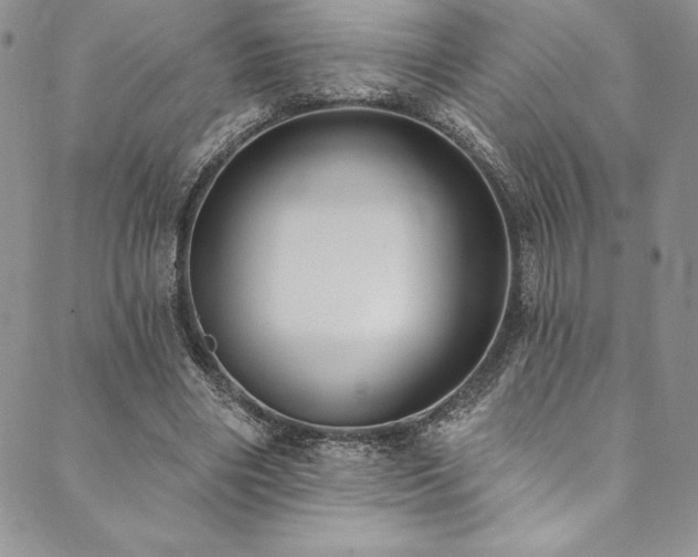 X0000090500490200707131356