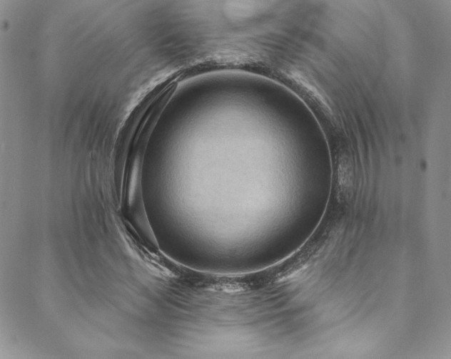 X0000090500492200707131356