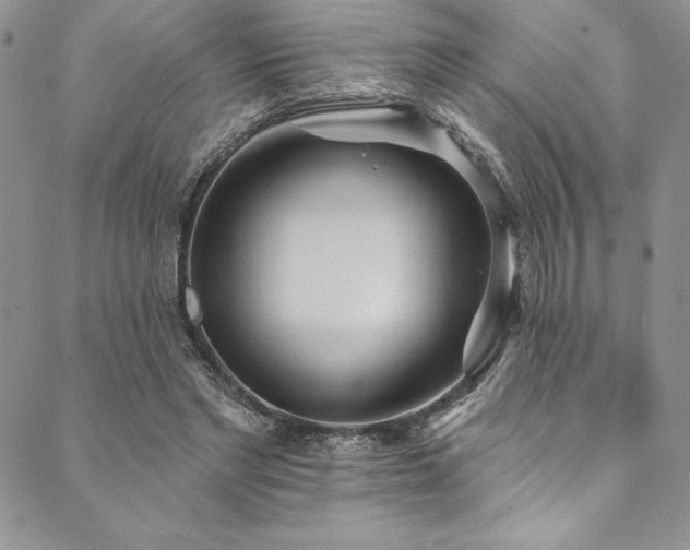 X0000090500493200707131356