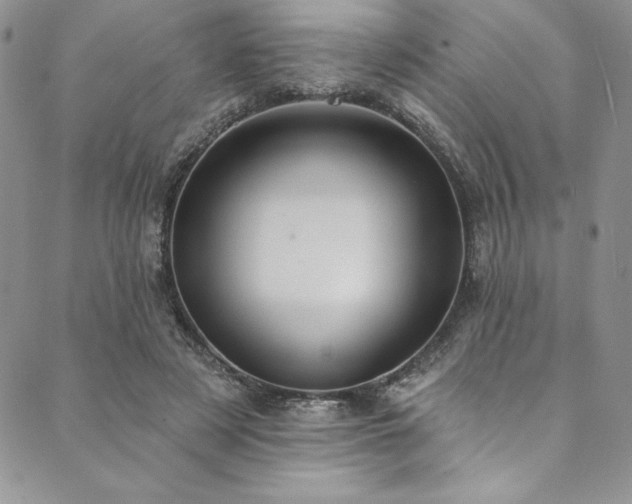 X0000090500497200707131356