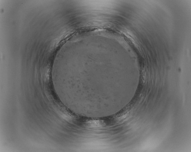 X0000090500499200707131355