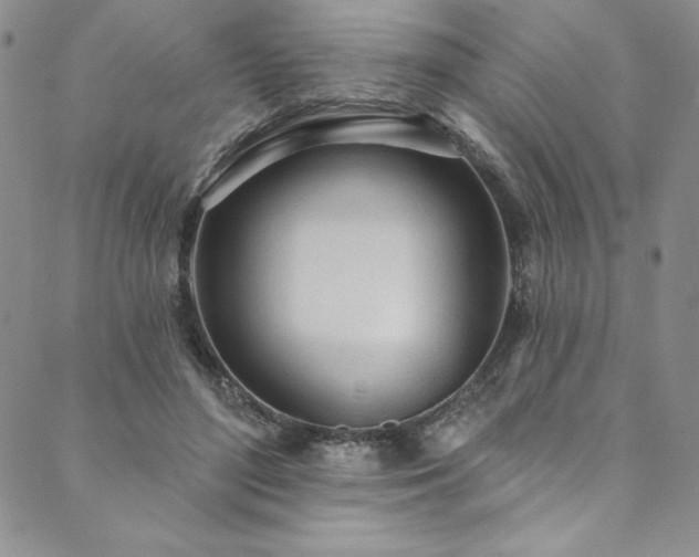 X0000090500500200707131355
