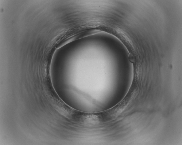 X0000090500501200707131355
