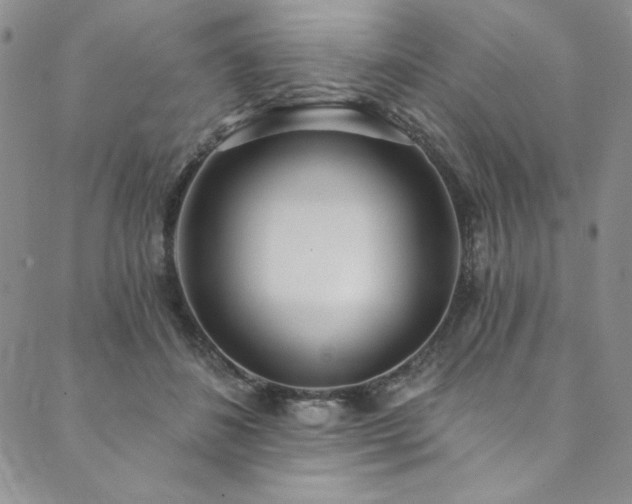 X0000090500508200707131355