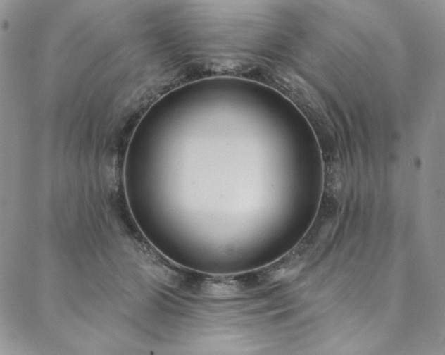 X0000090500510200707131355