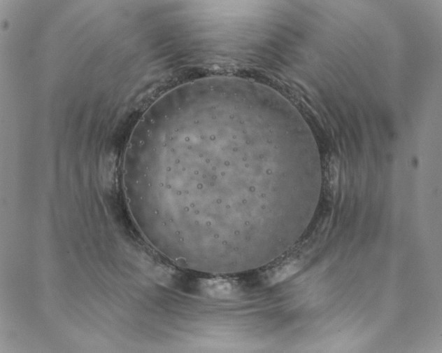 X0000090500511200707131355