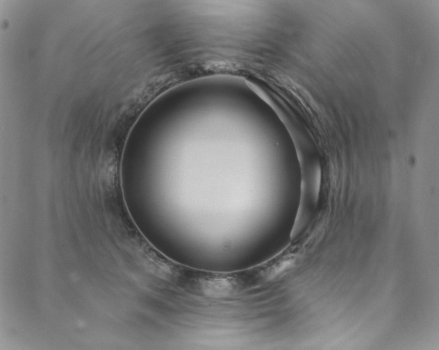 X0000090500513200707131355