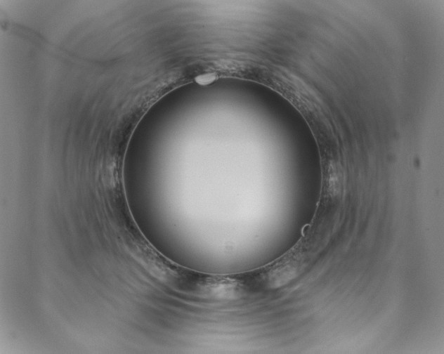 X0000090500514200707131355