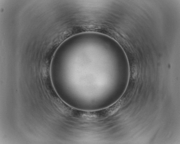 X0000090500515200707131355