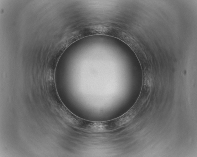 X0000090500518200707131355