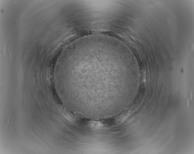 X0000090500519200707131355