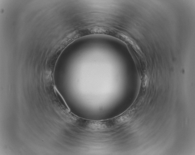 X0000090500521200707131355