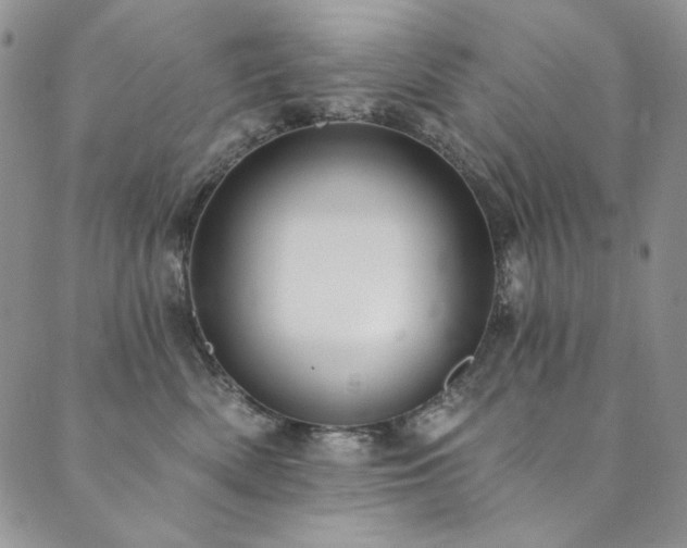 X0000090500522200707131355