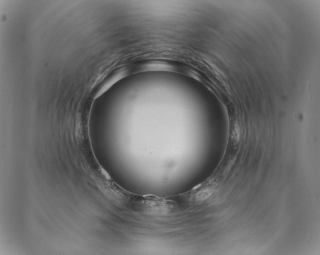 X0000090500524200707131355