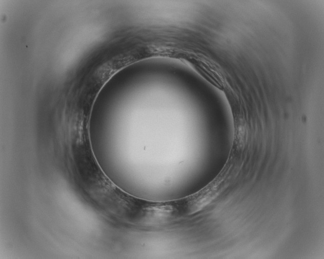 X0000090500525200707131355
