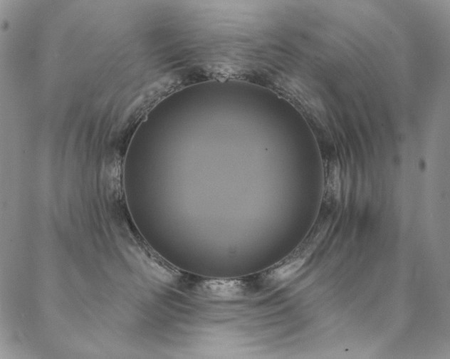 X0000090500526200707131355