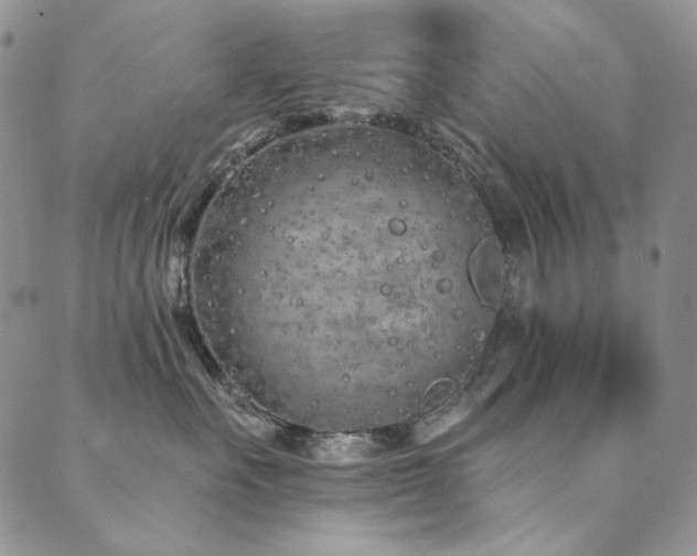 X0000090500527200707131355