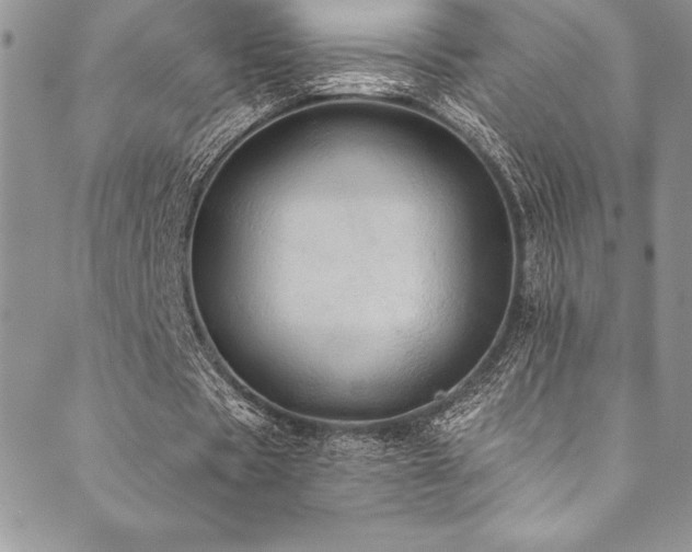 X0000090500529200707131354