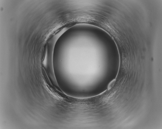X0000090500530200707131354