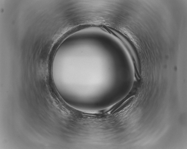 X0000090500532200707131354