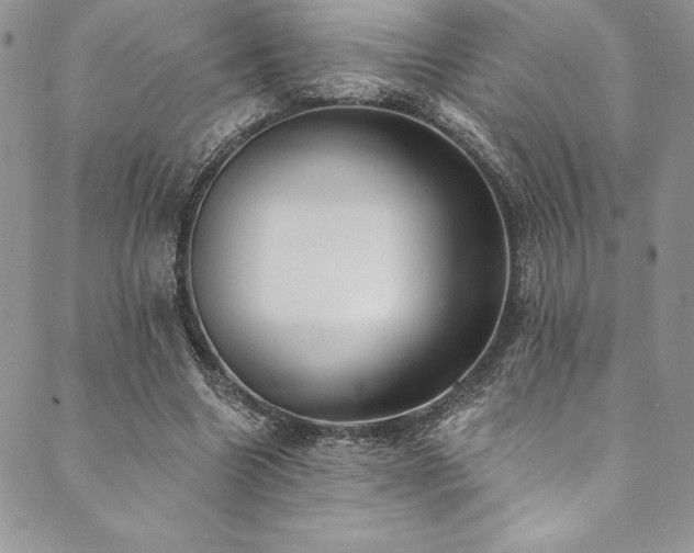 X0000090500538200707131354