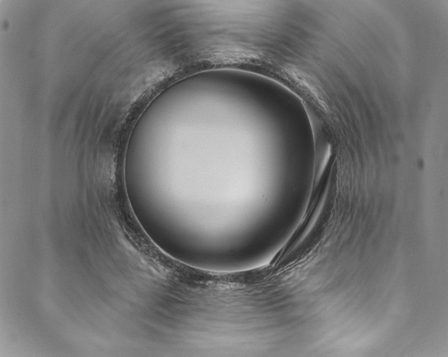X0000090500539200707131354