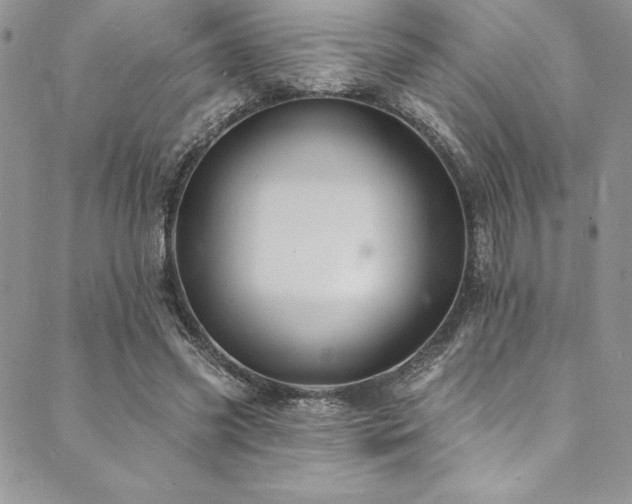 X0000090500541200707131354