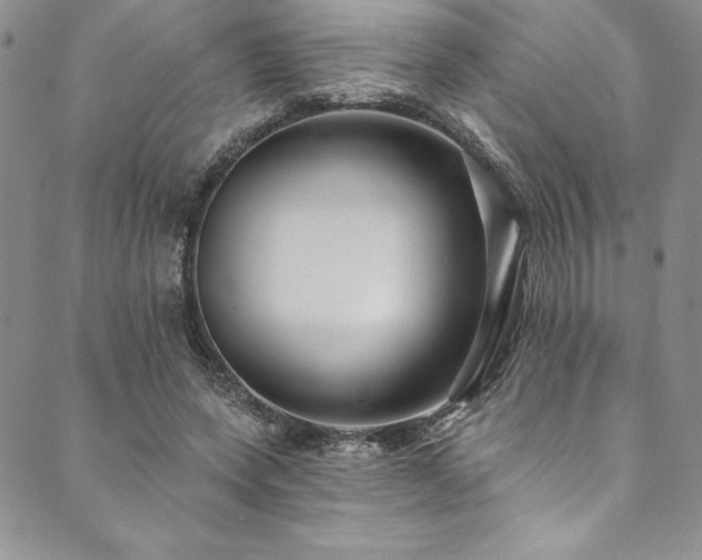 X0000090500543200707131354