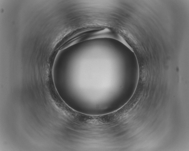 X0000090500544200707131354