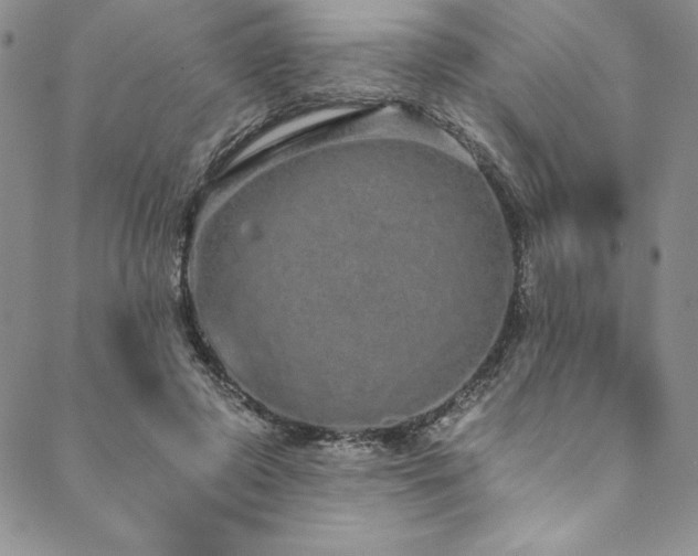 X0000090500545200707131354