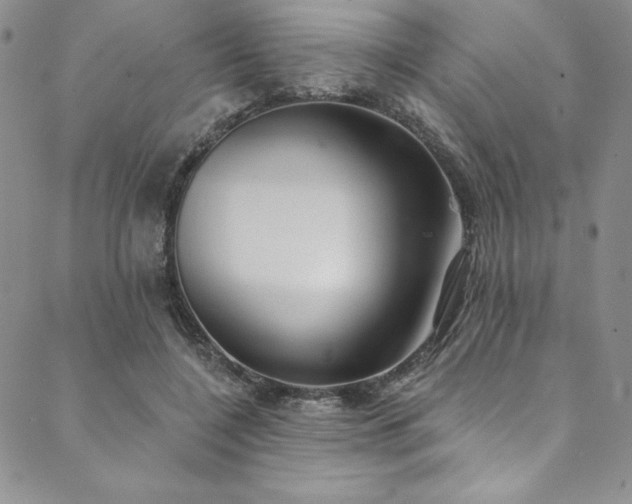 X0000090500548200707131355