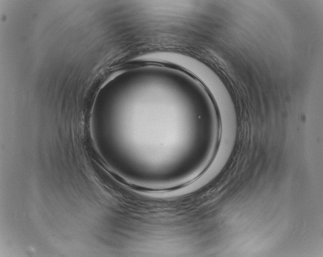 X0000090500552200707131355