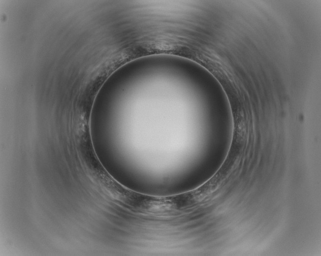 X0000090500555200707131355