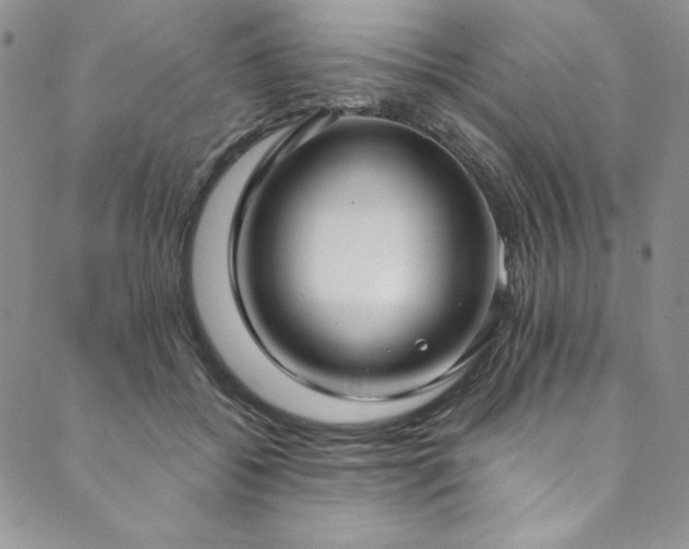 X0000090500556200707131355