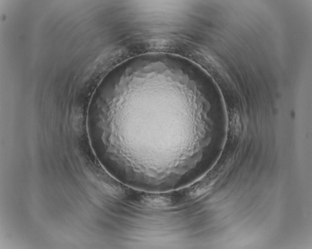 X0000090500557200707131355