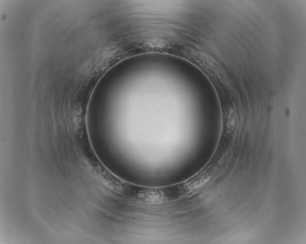 X0000090500559200707131355