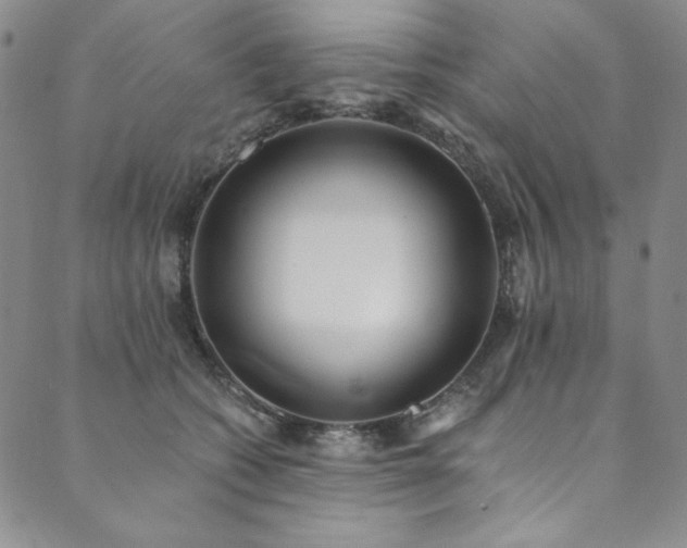 X0000090500562200707131355