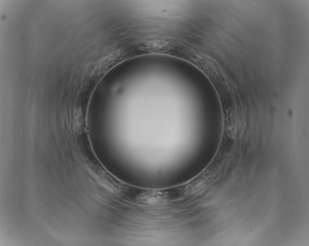 X0000090500563200707131355