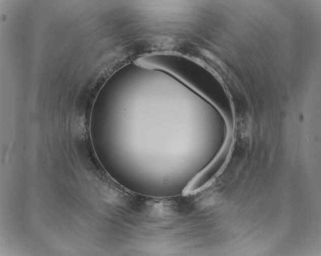 X0000090500564200707131355