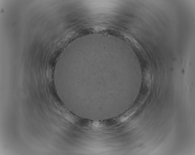 X0000090500565200707131355