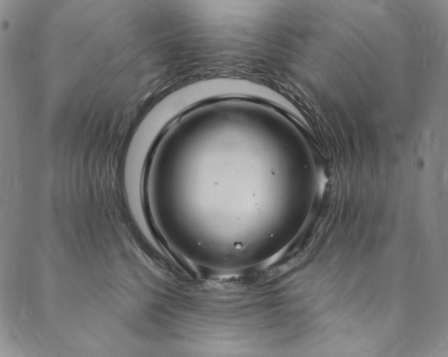 X0000090500568200707131355