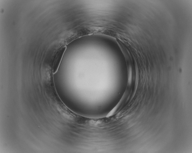 X0000090500570200707131355