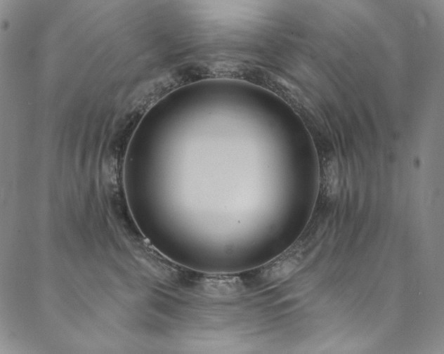X0000090500571200707131355