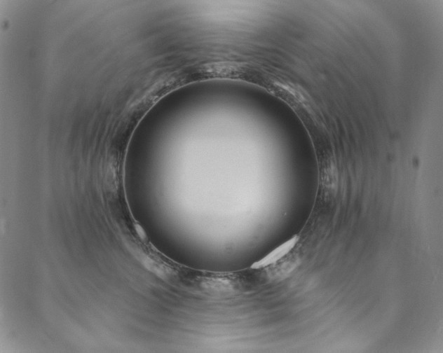 X0000090500572200707131355