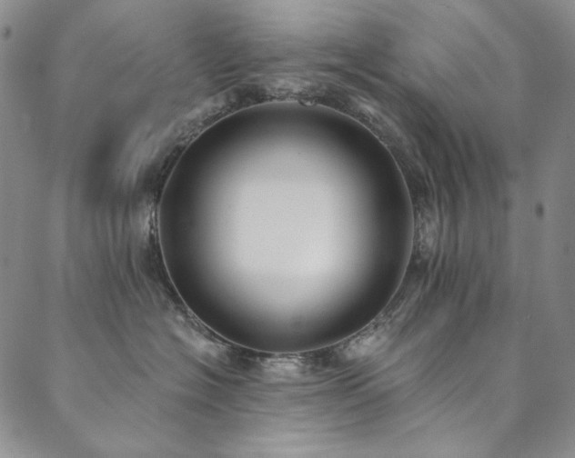 X0000090500574200707131355