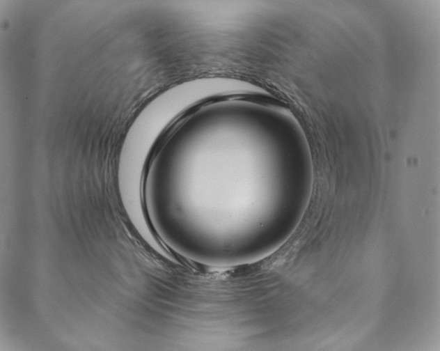 X0000090500576200707131355