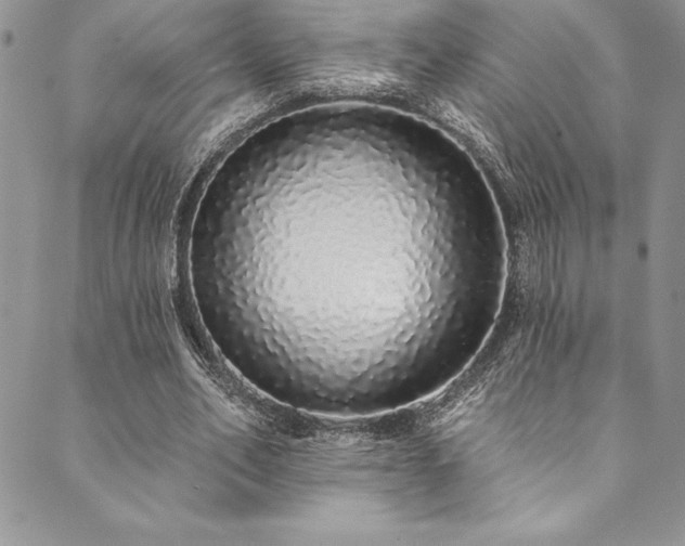 X0000090500582200707131354
