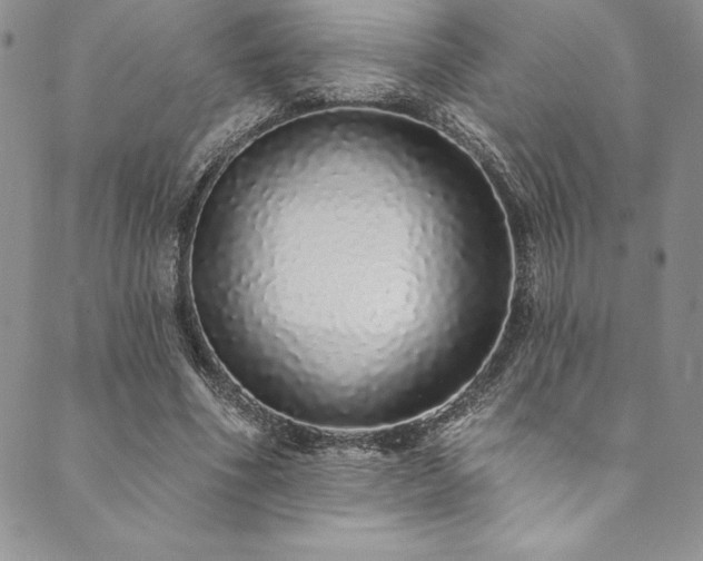 X0000090500586200707131354