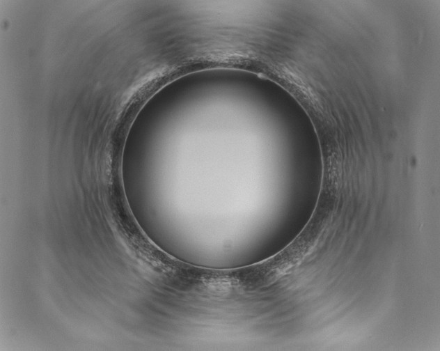 X0000090500587200707131354