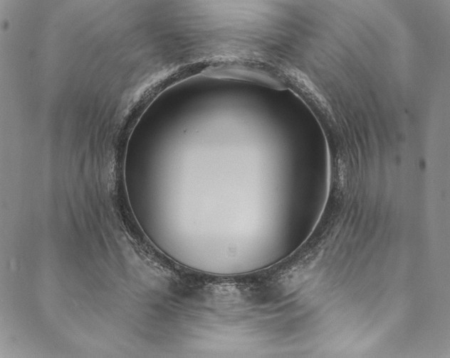 X0000090500588200707131354